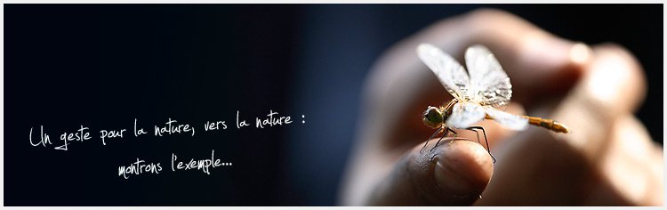 Développement durable