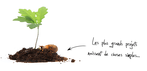 effi10, agence web dans l'Aube