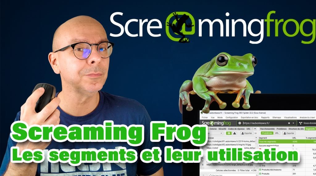 Segmentation Screaming Frog