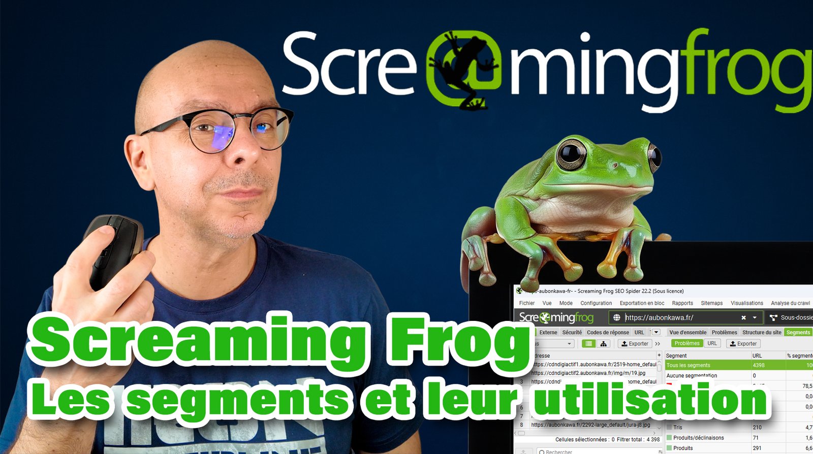 Segmentation Screaming Frog